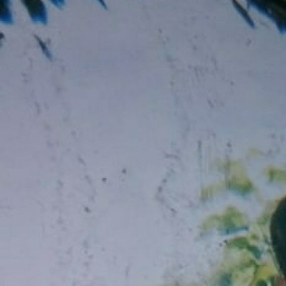 Meet your Posher, Itzel - Picture 1 of 1